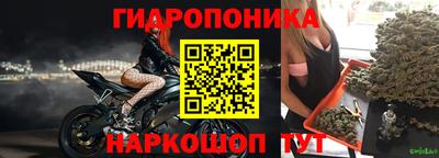 прущие грибы Заволжье
