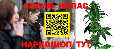 прущие грибы Заволжье